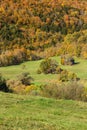 Falls foliage and little hut in Vermont countryside