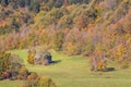 Falls foliage and little hut in Vermont countryside.