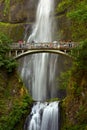 Falls Multnomah