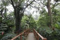 Jamaica Konoko falls park bridge along the waterfall