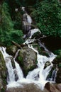 Falls at Sarhan Sarahan, Himachal Pradesh, India Royalty Free Stock Photo