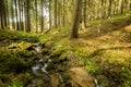 Falls on the small mountain river in a forest Royalty Free Stock Photo