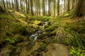 Falls on the small mountain river in a forest Royalty Free Stock Photo