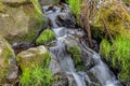 Falls on the small mountain river in a wood Royalty Free Stock Photo