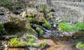 Falls on the small mountain river in a wood Royalty Free Stock Photo