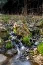 Falls on the small mountain river in a wood Royalty Free Stock Photo