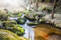 Falls on the small mountain river in a wood Royalty Free Stock Photo