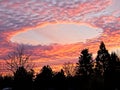 Fallstreak hole