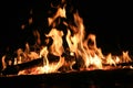 Falme of campfire Royalty Free Stock Photo