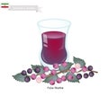 Falsa Sharbat or Iranian Drink From Grewia Asiatica