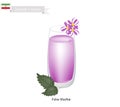 Falsa Sharbat or Iranian Drink From Grewia Asiatica and Syrup