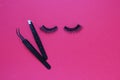 False eye lashes, black tweezers on pink background with copy space, mockup. Beauty concept - Tools for eyelash extension