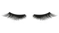 False eyelashes. element