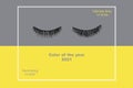 False eyelashes on gray and yellow background, top view. Trendy colors of the year 2021