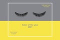 False eyelashes on gray and yellow background, top view. Trendy colors of the year 2021 Royalty Free Stock Photo