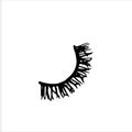 False eyelashes isolated on white background. Simple hand drawn vector illustration in cartoon doodle style