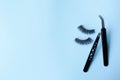False eyelashes with two black tweezers on blue background with copy space, beauty