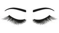 False eyelashes. vector element