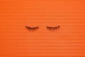 False Eyelashes for woman eyes on orange textured background Royalty Free Stock Photo
