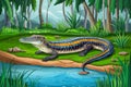 False gharial sunbathing near pond, reptile illustration