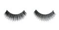 False lashes Royalty Free Stock Photo