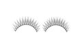 False lashes Royalty Free Stock Photo