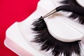 False lashes and pincers, close up on red background Royalty Free Stock Photo