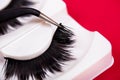 False lashes and pincers, close up on red background Royalty Free Stock Photo