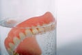 False teeth in glass Royalty Free Stock Photo