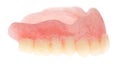 False teeth on a white background Royalty Free Stock Photo