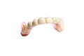 False teeth on a white background removable Royalty Free Stock Photo