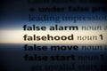 Falsehood