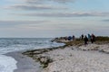 People are hiking at a nature reserve to see a harbor seal colony. Picture from Falsterbo in Scania, Sweden