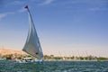 Felucca sailboat on the Nile river