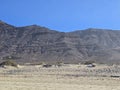 Famara cliffs, Lanzarote, Canary islands, November 2025 Royalty Free Stock Photo