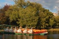 The famed Swan Boats of the Boston Publik Garden Royalty Free Stock Photo