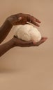 famele hands holding lion mane mushroom Royalty Free Stock Photo