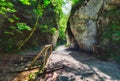 The familiar part of Gaderska Valley called Devil\'s Gate, Slovakia Royalty Free Stock Photo