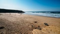 Families enjoy a relaxing afternoon at the golden Praia das Macas in Portugal on a sunny winter day