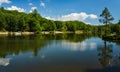 Families Enjoying a Day at Pandapas Pond