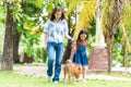 Families with mothers and daughters walking with Shiba Inu dogs in the park in spring Royalty Free Stock Photo