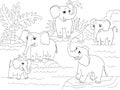 Family of African elephants coloring book for children cartoon vector illustration Royalty Free Stock Photo