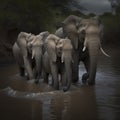 A family of African elephants crossing a muddy river