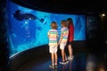 Family in aquarium. Kids watch fish, marine life Royalty Free Stock Photo