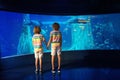 Family in aquarium. Kids watch fish, marine life Royalty Free Stock Photo