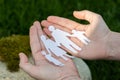 Family as origami image on woman palms on blurred background