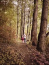 Family In Autumn Summer Forest, Back View. Woman And Little Girl Walk Away On Path In Woods. Child With Mother Go On Footpath
