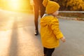 Family on an autumn walk, Mother and son are walking in the park and enjoying the autumn nature Royalty Free Stock Photo