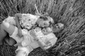 Family with baby lying and resting among wheat field Royalty Free Stock Photo