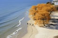 Family on the beach from drone view